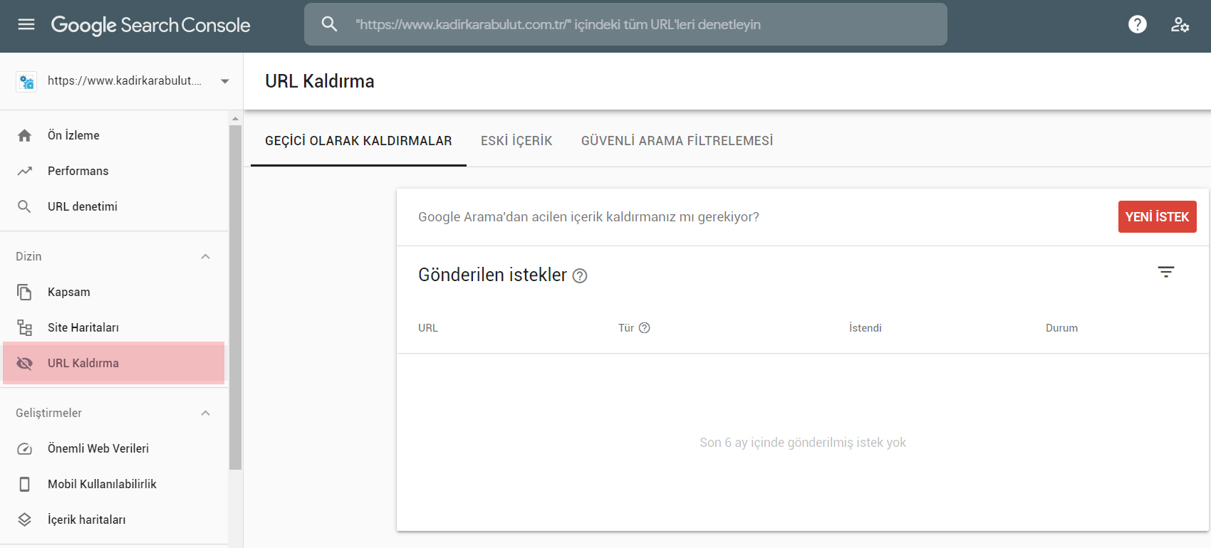 google search console url kaldırma